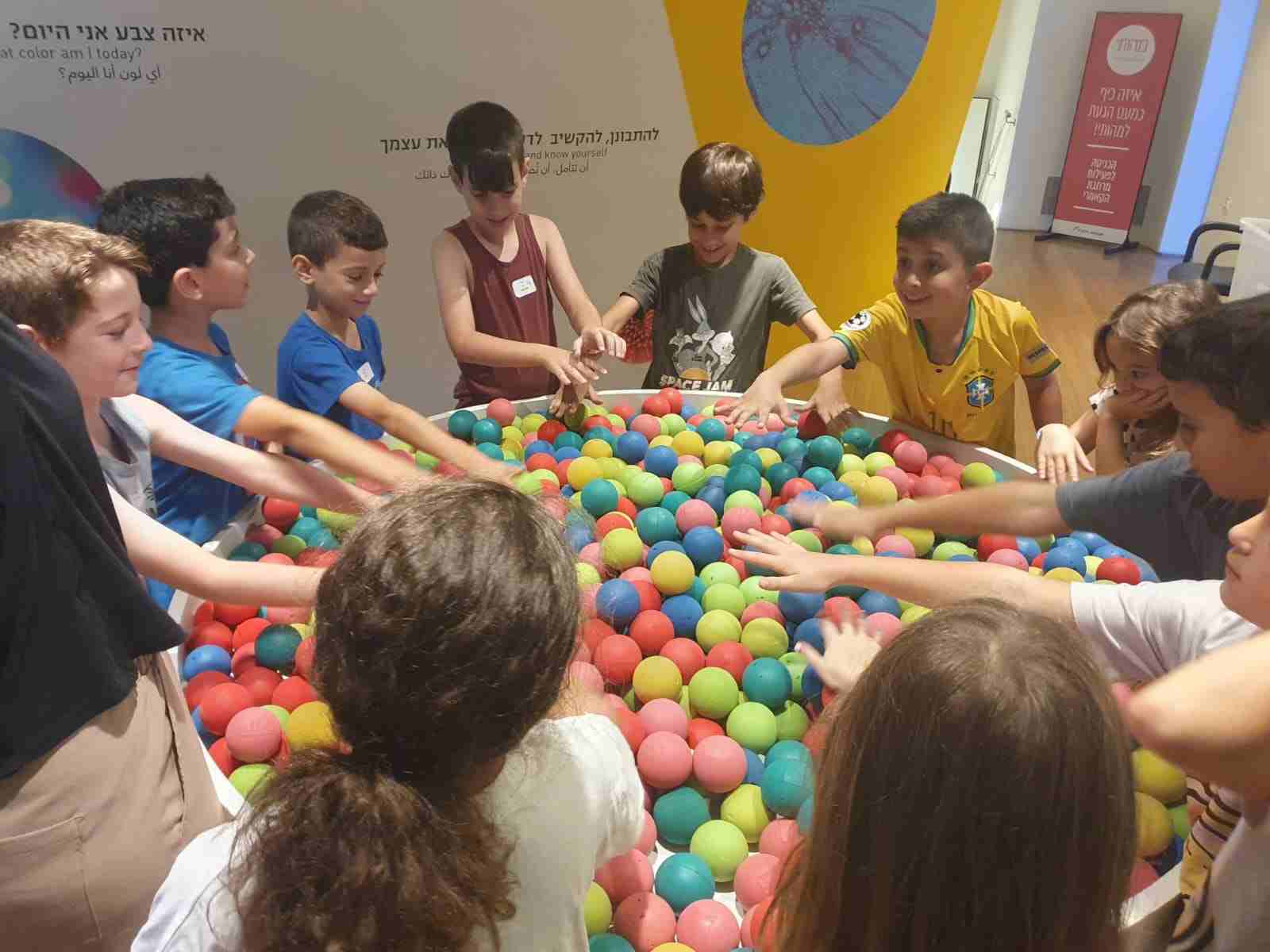 ראי הקסם זיפ